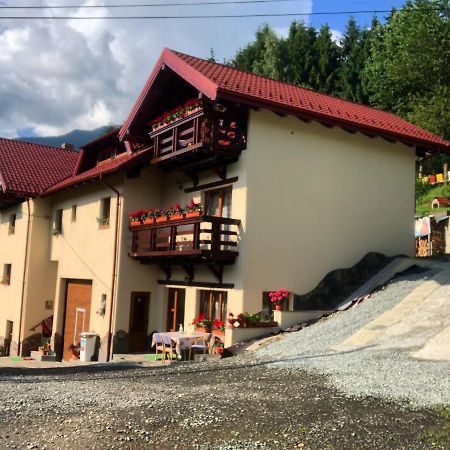 Pensiunea Dumitrita Hotel Borsa  Exterior photo