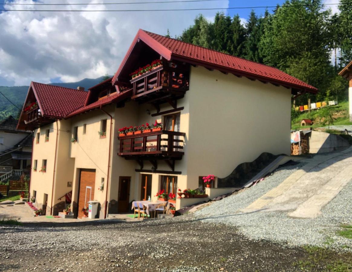 Pensiunea Dumitrita Hotel Borsa  Exterior photo